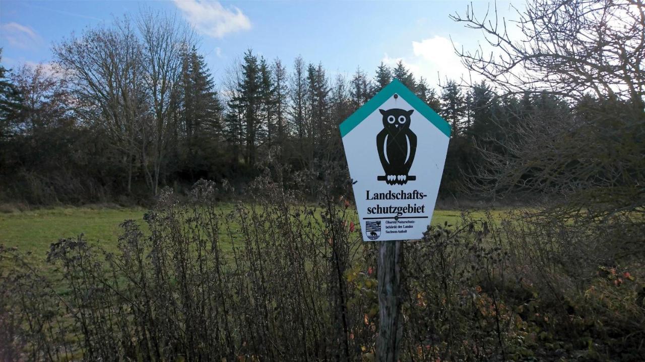 Landhaus Eva-Maria Villa Elbingerode  Esterno foto