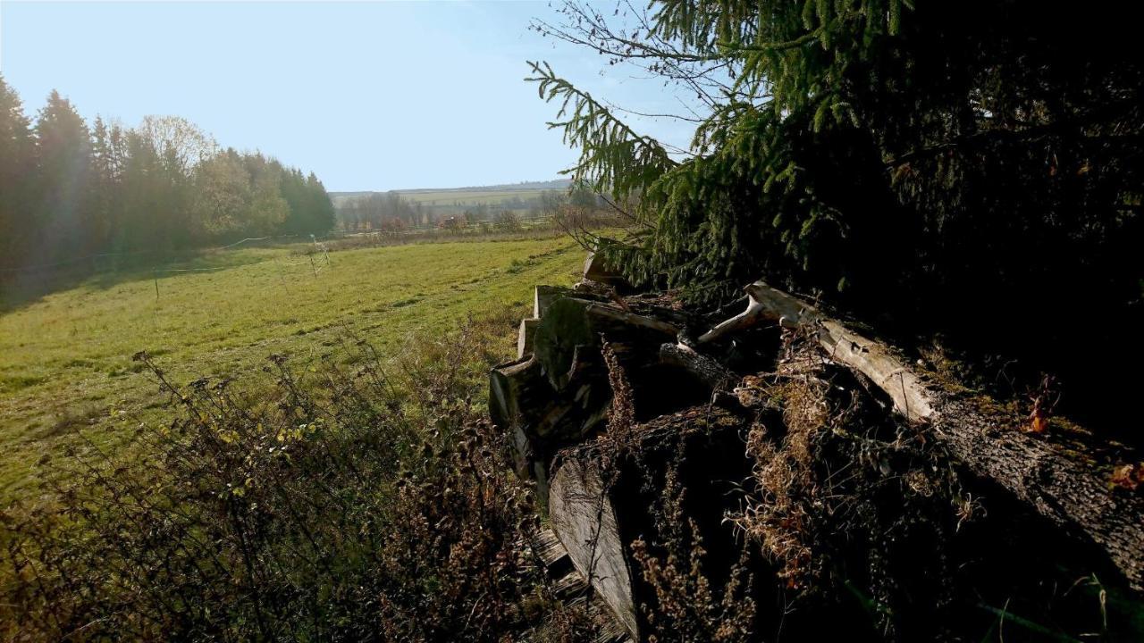 Landhaus Eva-Maria Villa Elbingerode  Esterno foto