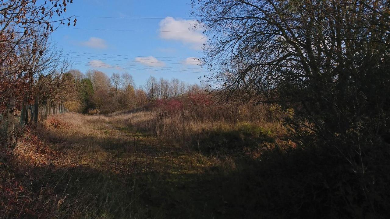 Landhaus Eva-Maria Villa Elbingerode  Esterno foto